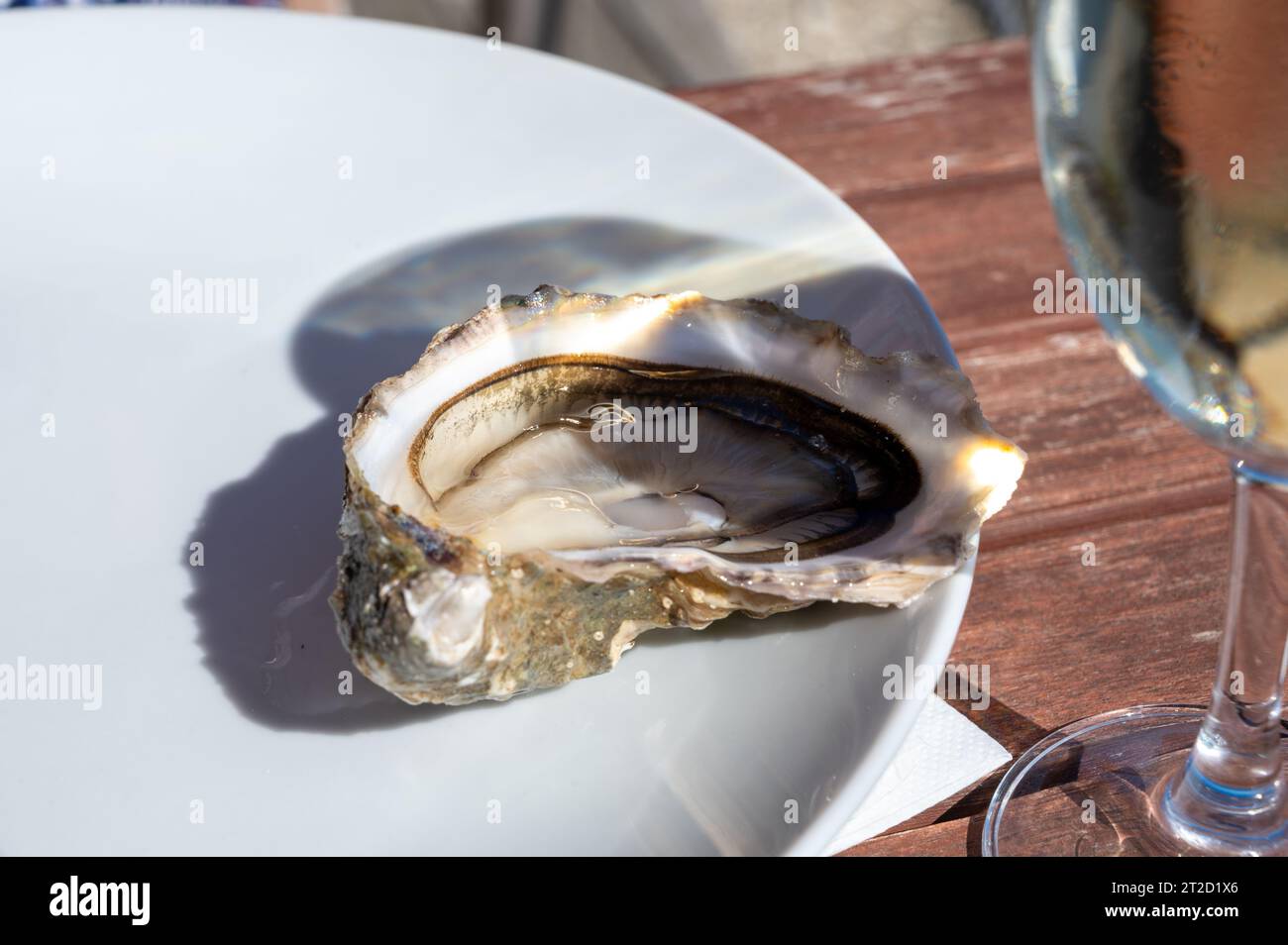 Eating of fresh live oysters at farm cafe in oysterfarming village