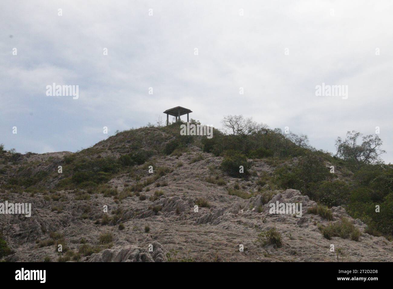 Jathika Namal Uyana, Dambulla, Visit Sri Lanka Stock Photo - Alamy