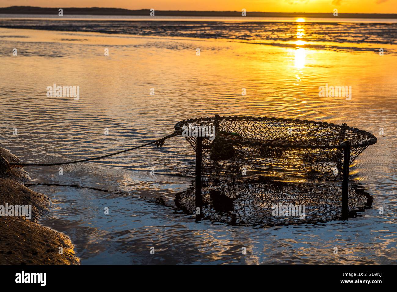 Crab pot, Alva Lynchs Beach, attraction in Queensland Stock Photo Alamy