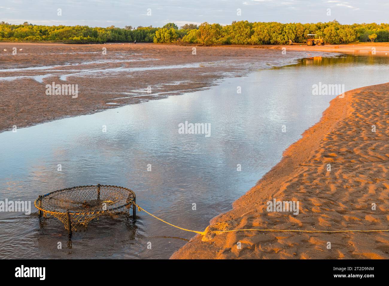 Crab pot, Alva Lynchs Beach, attraction in Queensland Stock Photo Alamy