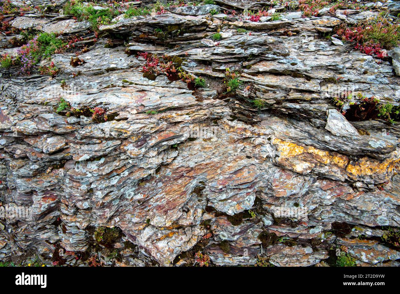 Polished Natural Metamorphic Rock Photo Slate 5x5in