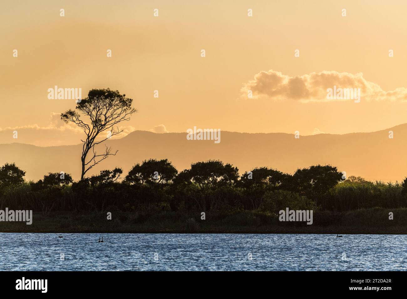 Fantastic sunset over Plantation Creek near Ayr in the Shire of Burdekin, Queensland Stock Photo