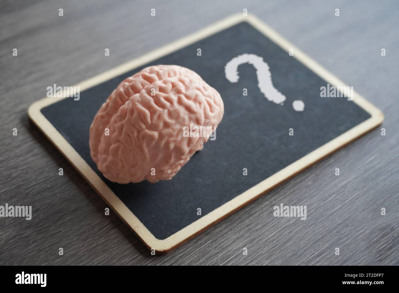 Human brain model on top of a blackboard with a question mark. Knowledge, critical thinking concept. Stock Photo