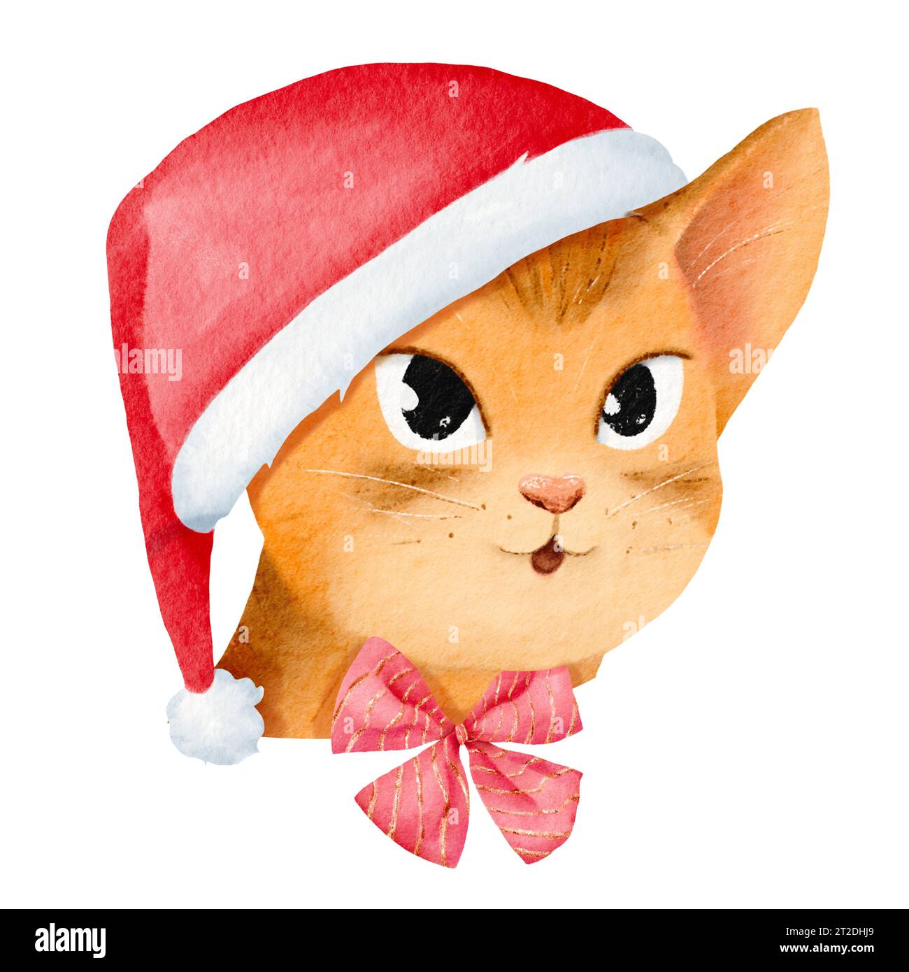 New Year's gnome - a cute Abyssinian cat. Elegant kitten portrait in a Santa hat and a Christmas bow. Festive mood. Perfect for cards, invites Stock Photo