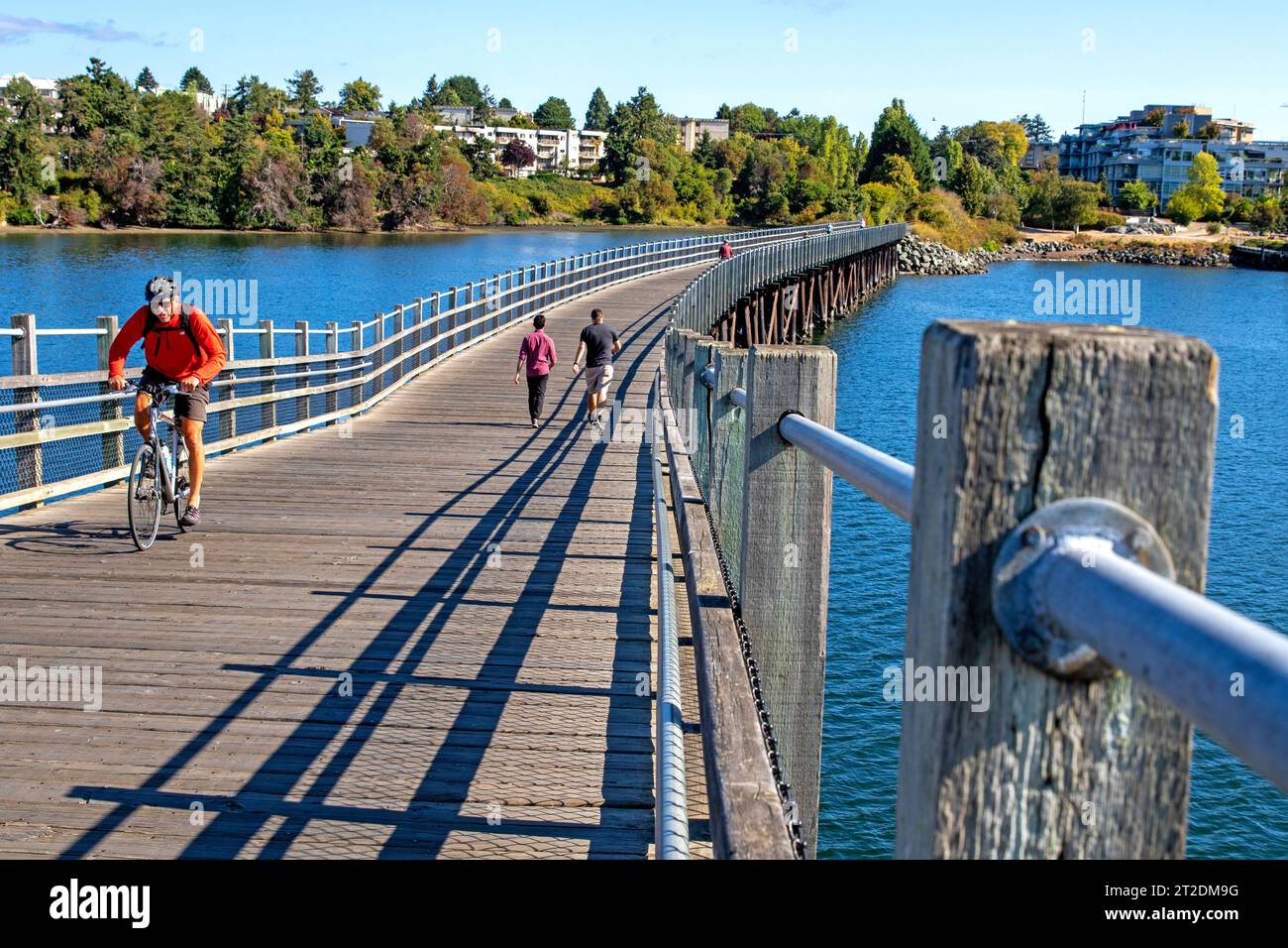 Cycling across the Selkirk Trestle Bridge, Victoria, Vancouver Island Stock Photo