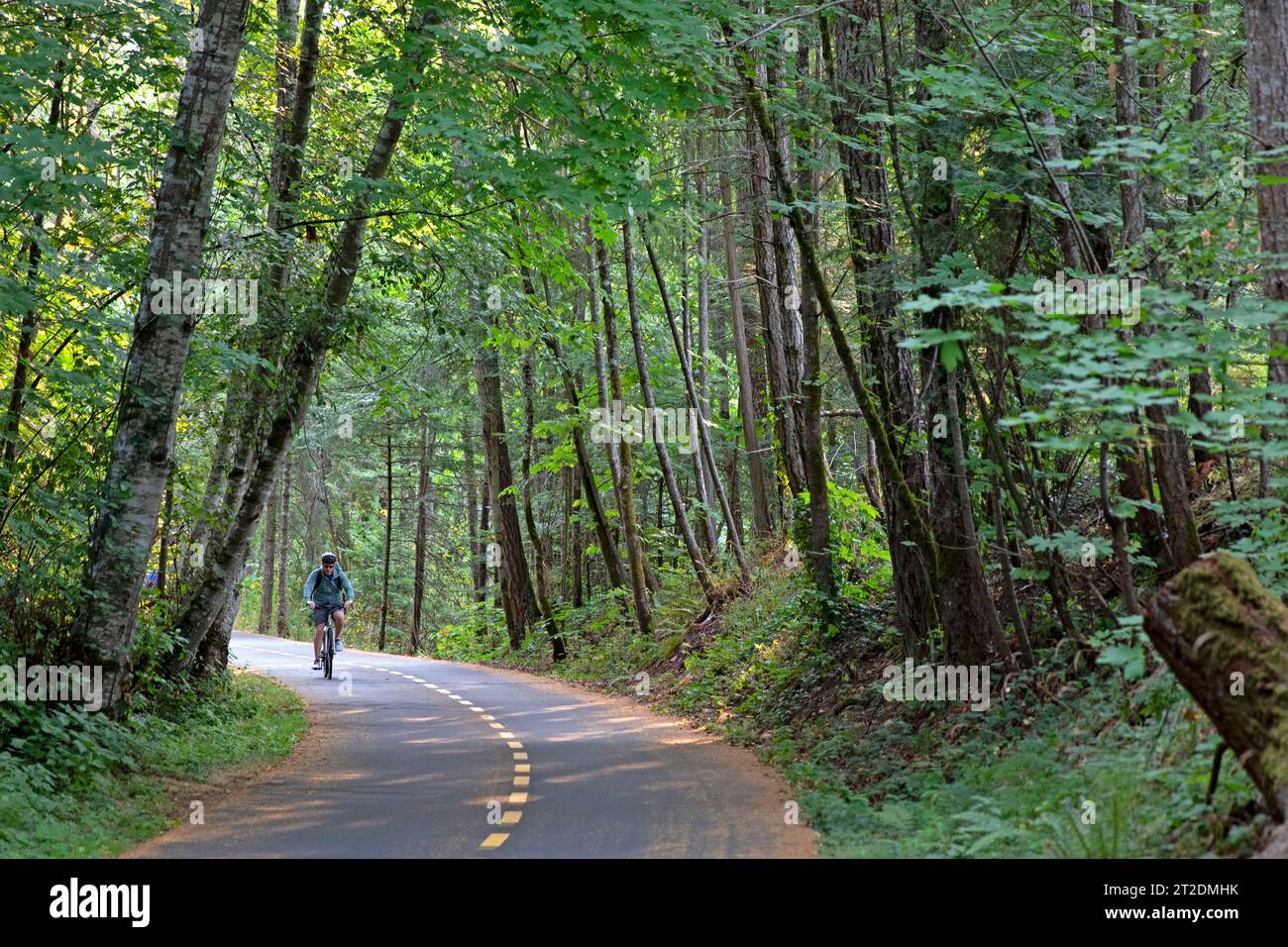 Cycling on the Galloping Goose Trail on Vancouver Island Stock Photo