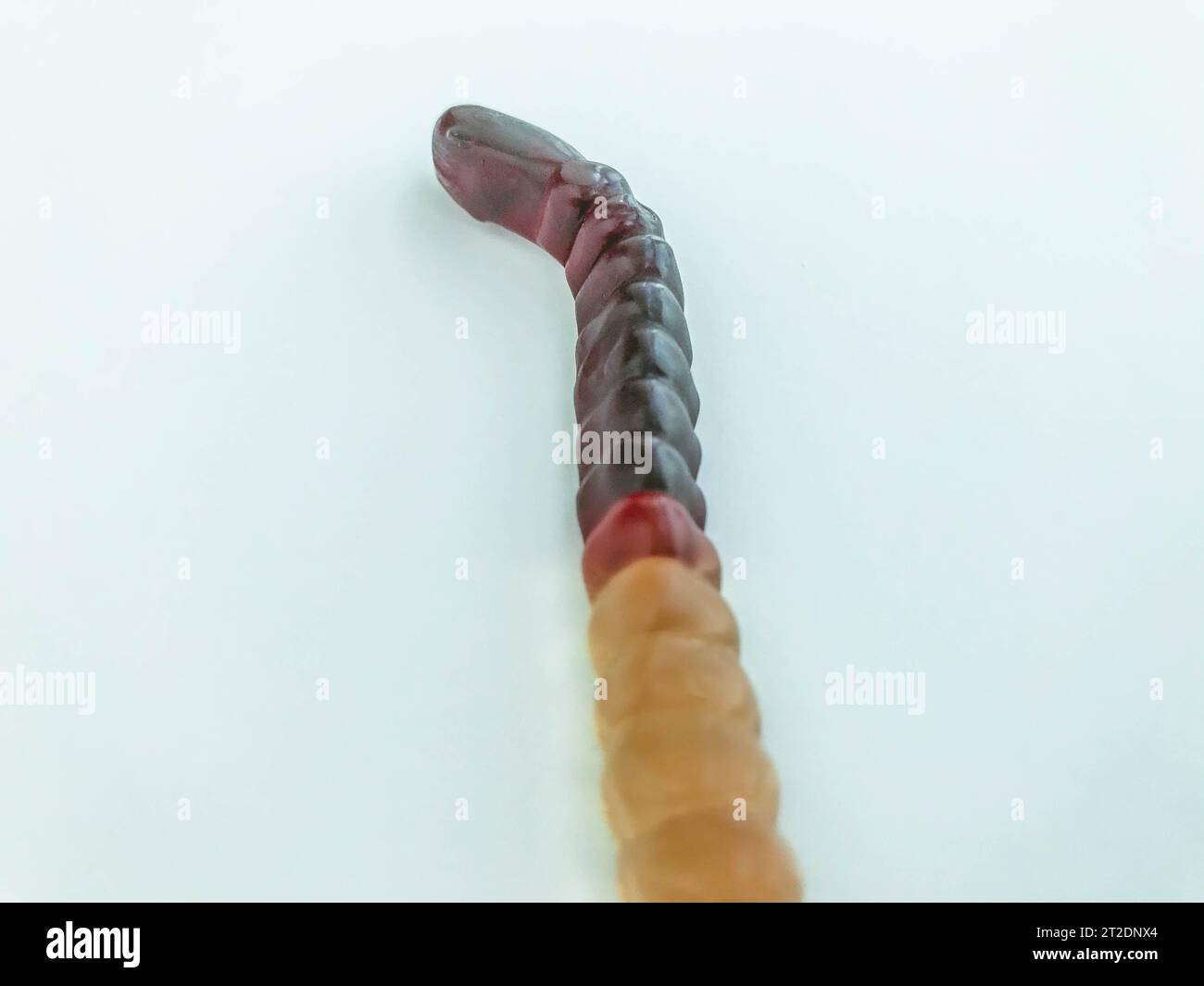 gummy worms lie on a white matte background. bright, mouthwatering