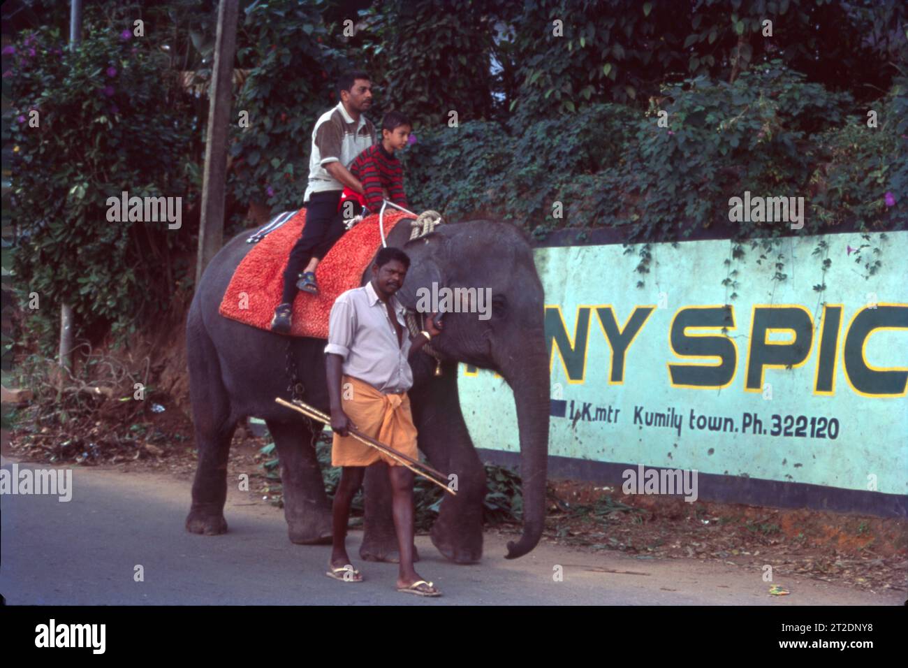 Elephant Ride at Thekkady, Kerala, India Stock Photo Alamy