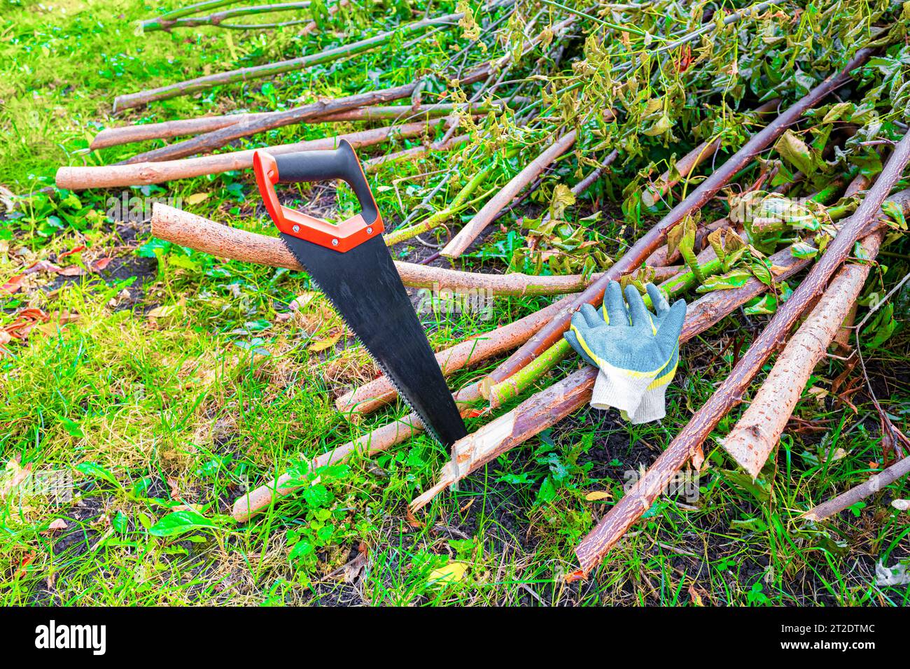 Cutting down trees near village hires stock photography and images Alamy