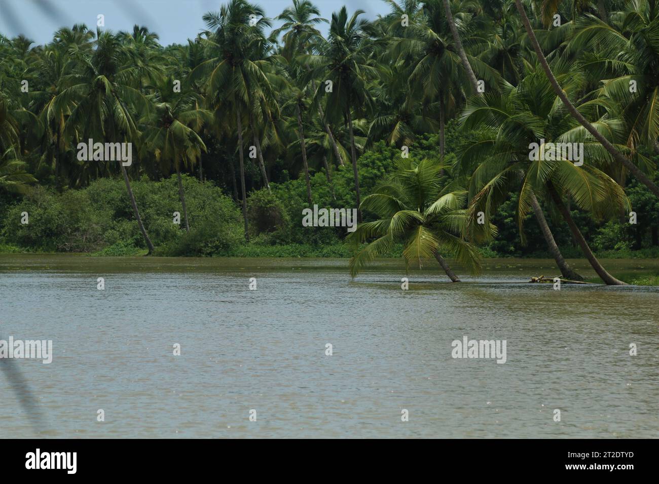 Kerala village scenery hi-res stock photography and images - Alamy
