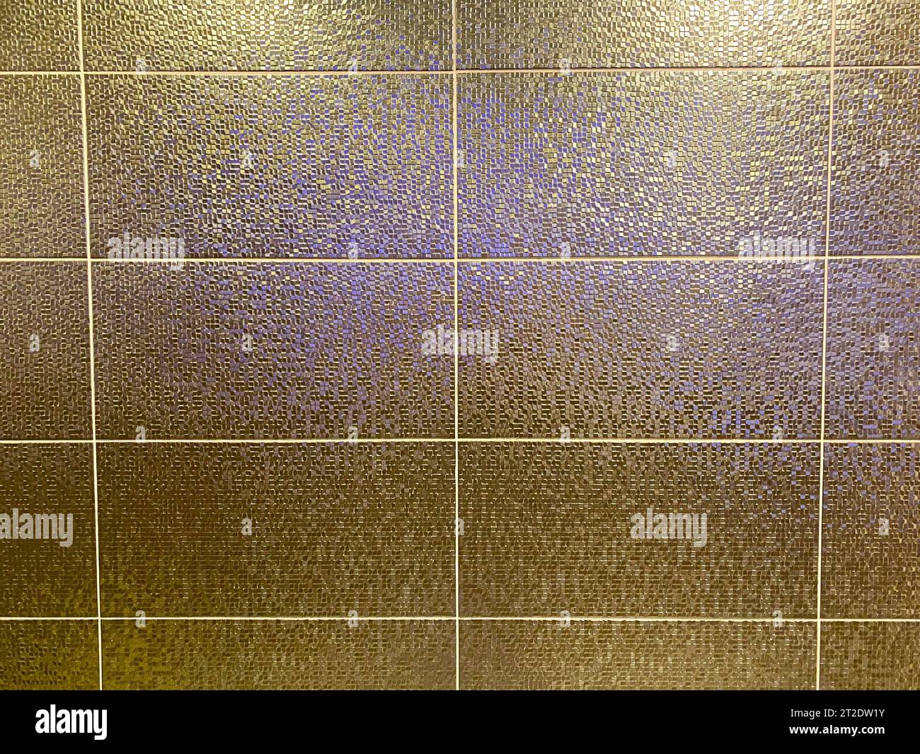 Beautiful golden chic expensive ceramic wall tiles in the bathroom with