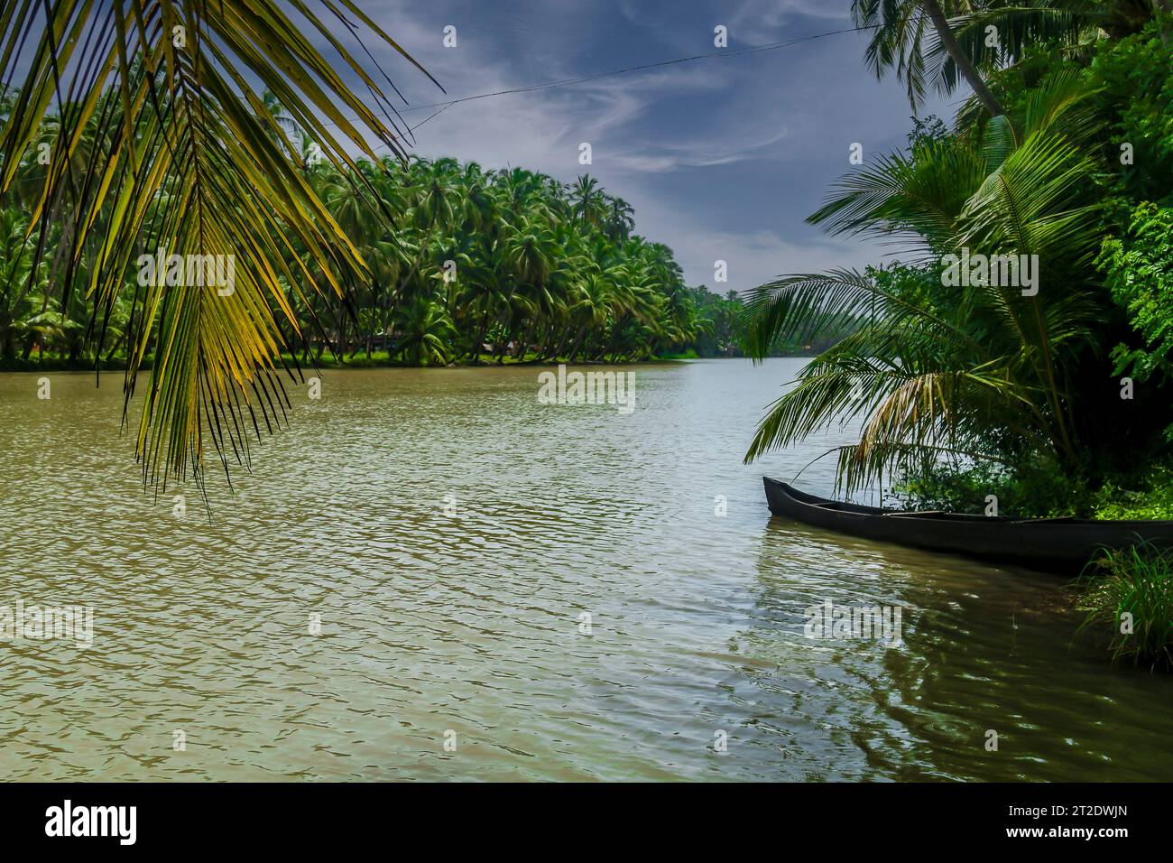 Kerala village scenery hi-res stock photography and images - Alamy