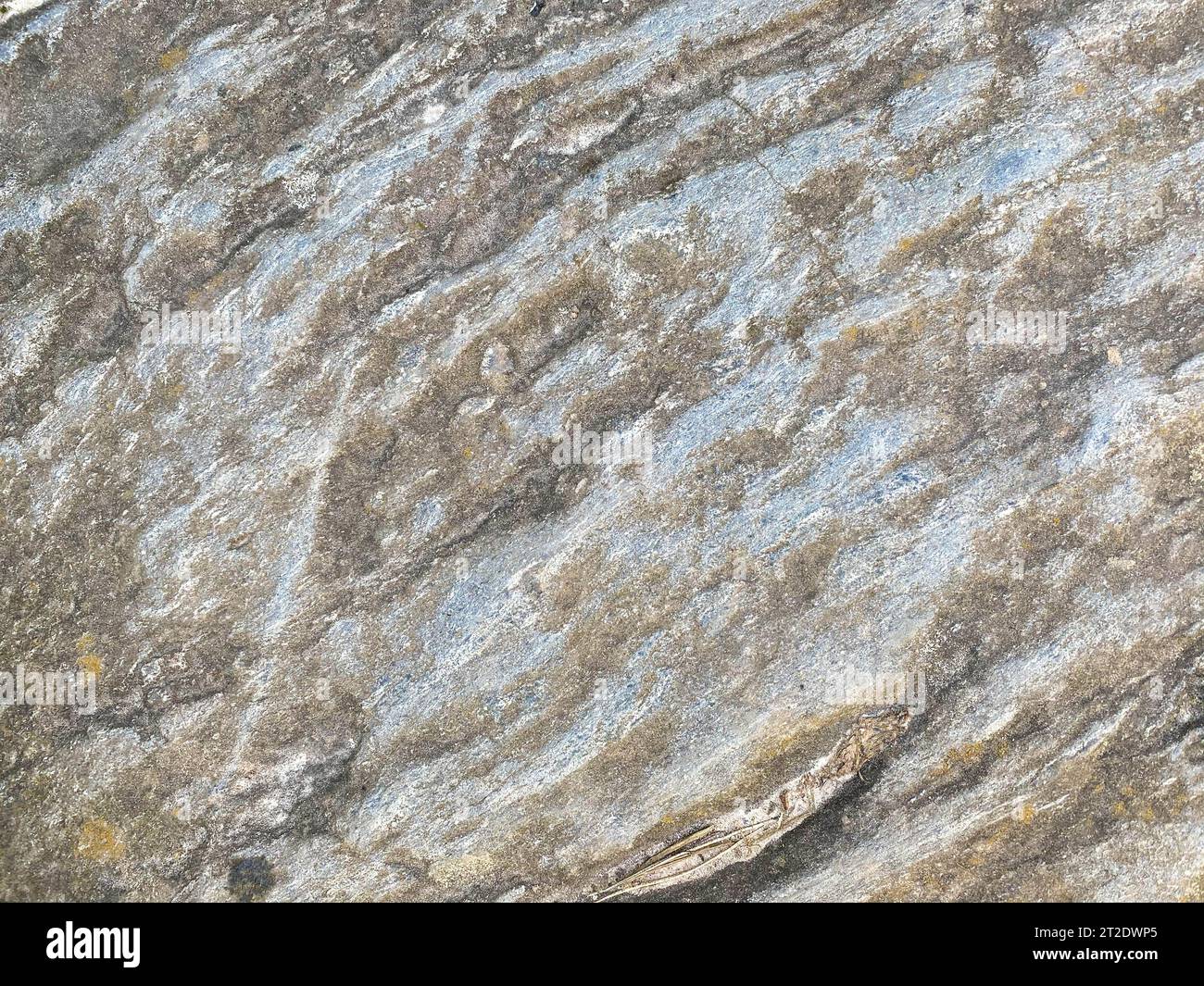 Rough concrete stone wall hi-res stock photography and images - Alamy