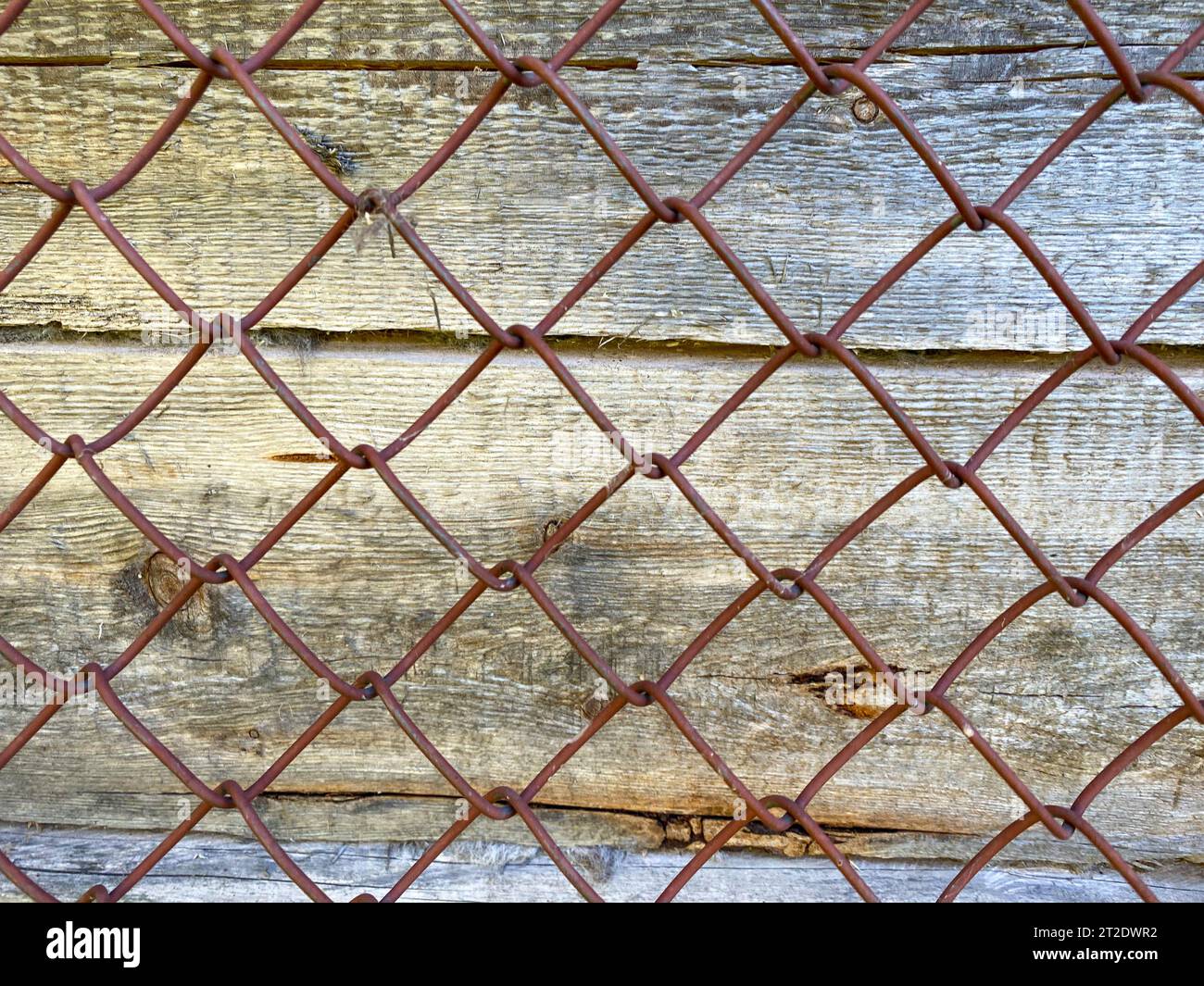 Brown wood texture of natural wood from vertical planks with knots. Background and iron mesh netting. Stock Photo