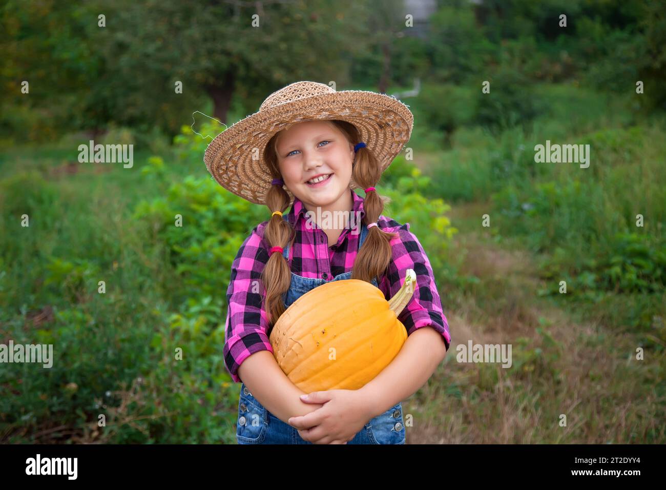 Child girl picking pumpkins at garden. Cute little child dressed like a