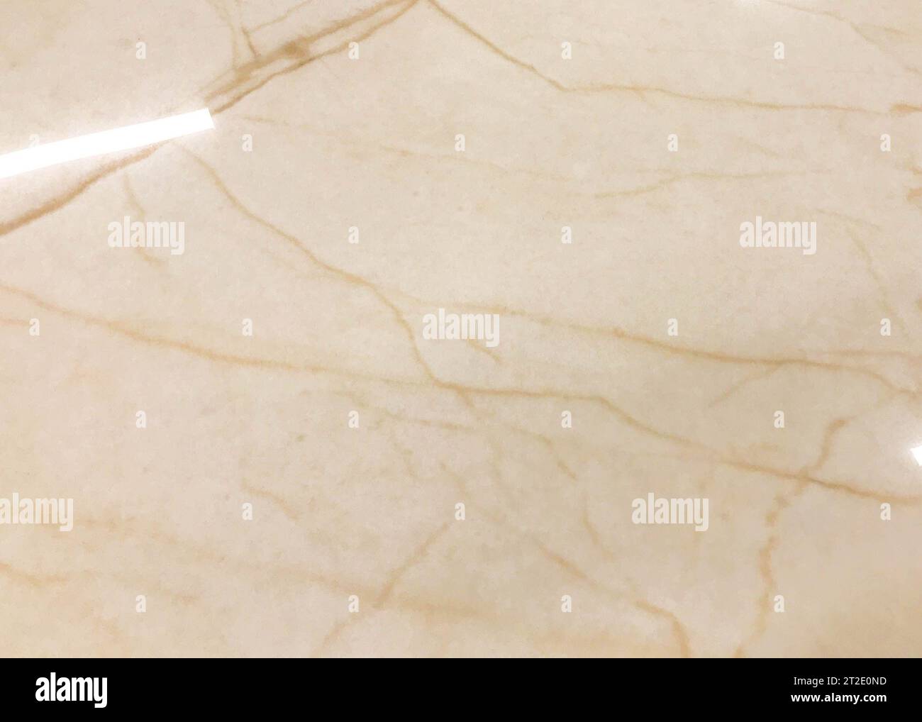 marbled texture. expensive material for covering walls and floors