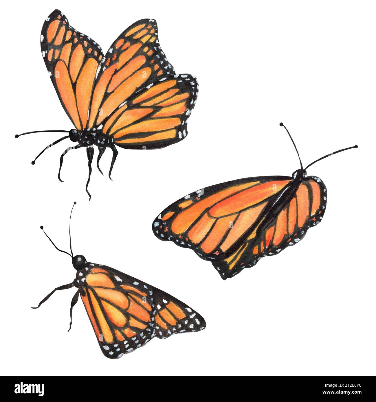 Butterfly Flying Away Clip Art
