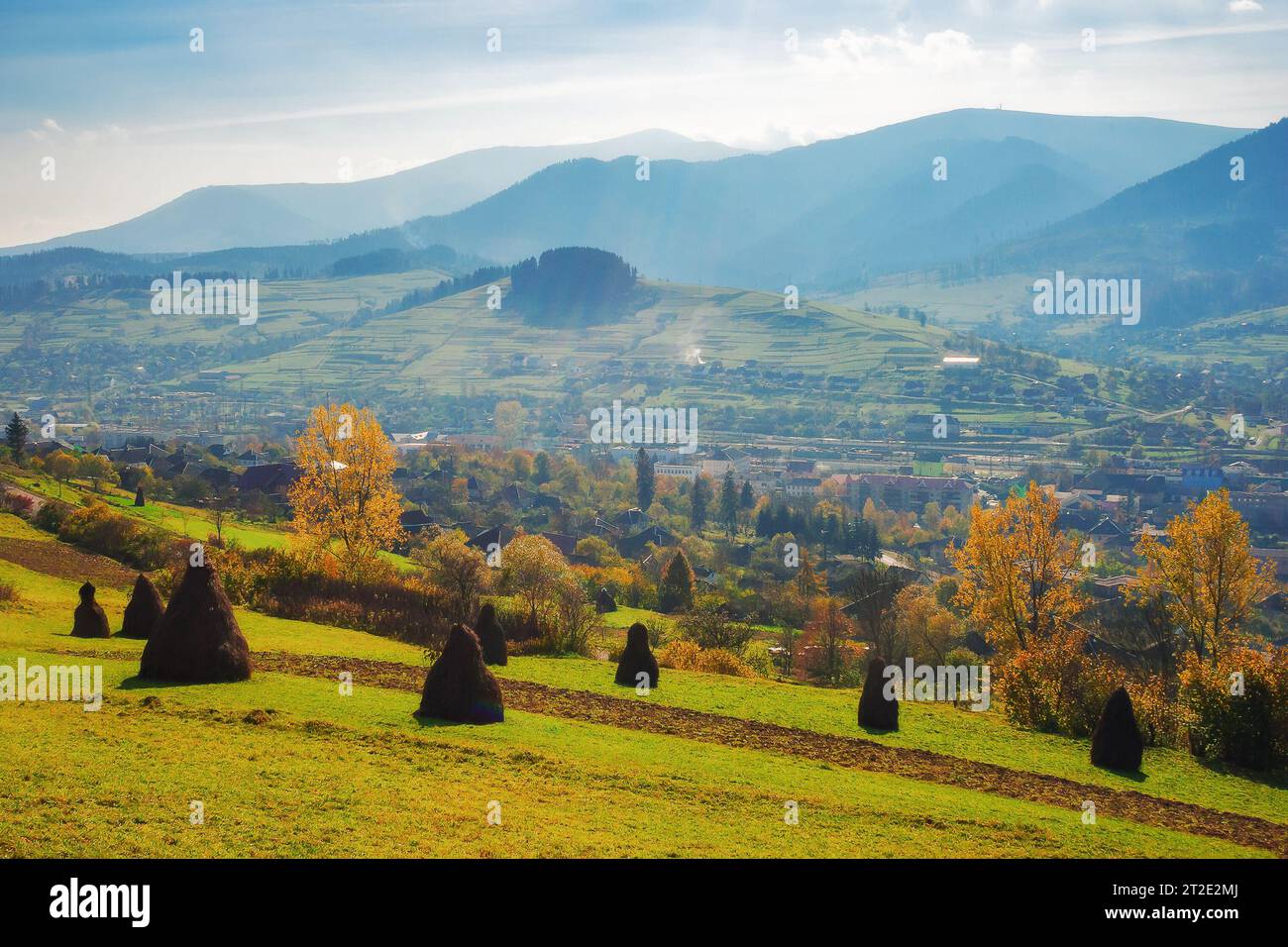 rural field with haystacks on the hill. rolling mountainous countryside scenery of transcarpathia region in autumn. trees in yellow foliage on a sunny Stock Photo