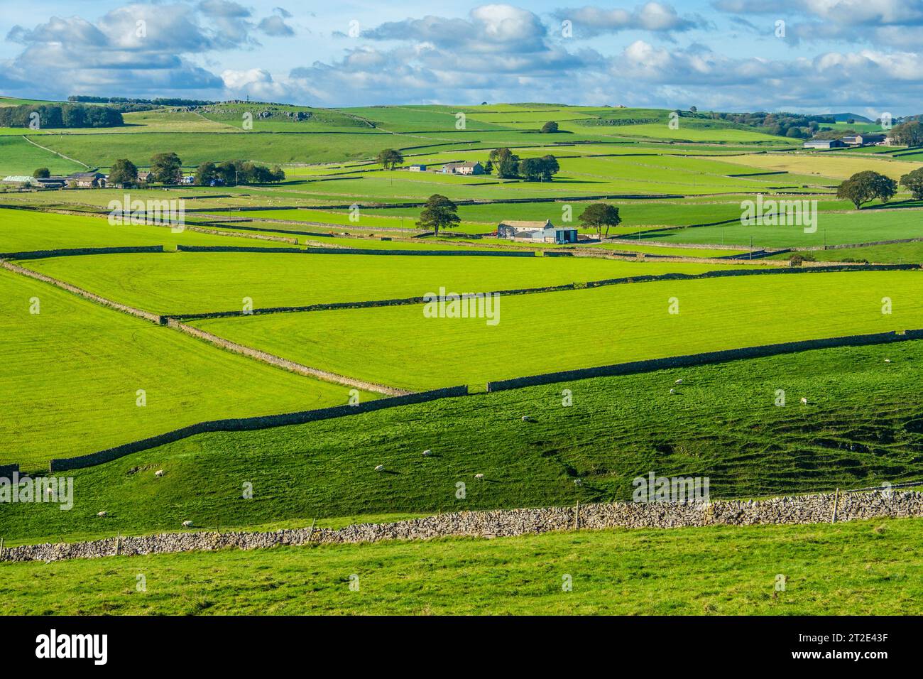 Dry stone walls and pastures near Peak Forest in the Derbyshire Peak