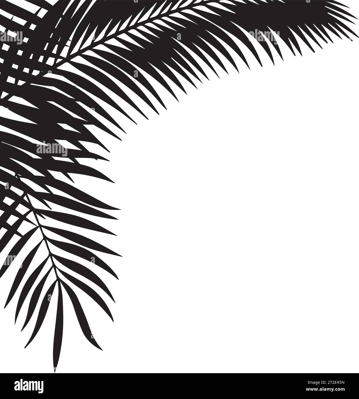 Black leaves of palm tree on white background.Vector illustration. Stock Vector