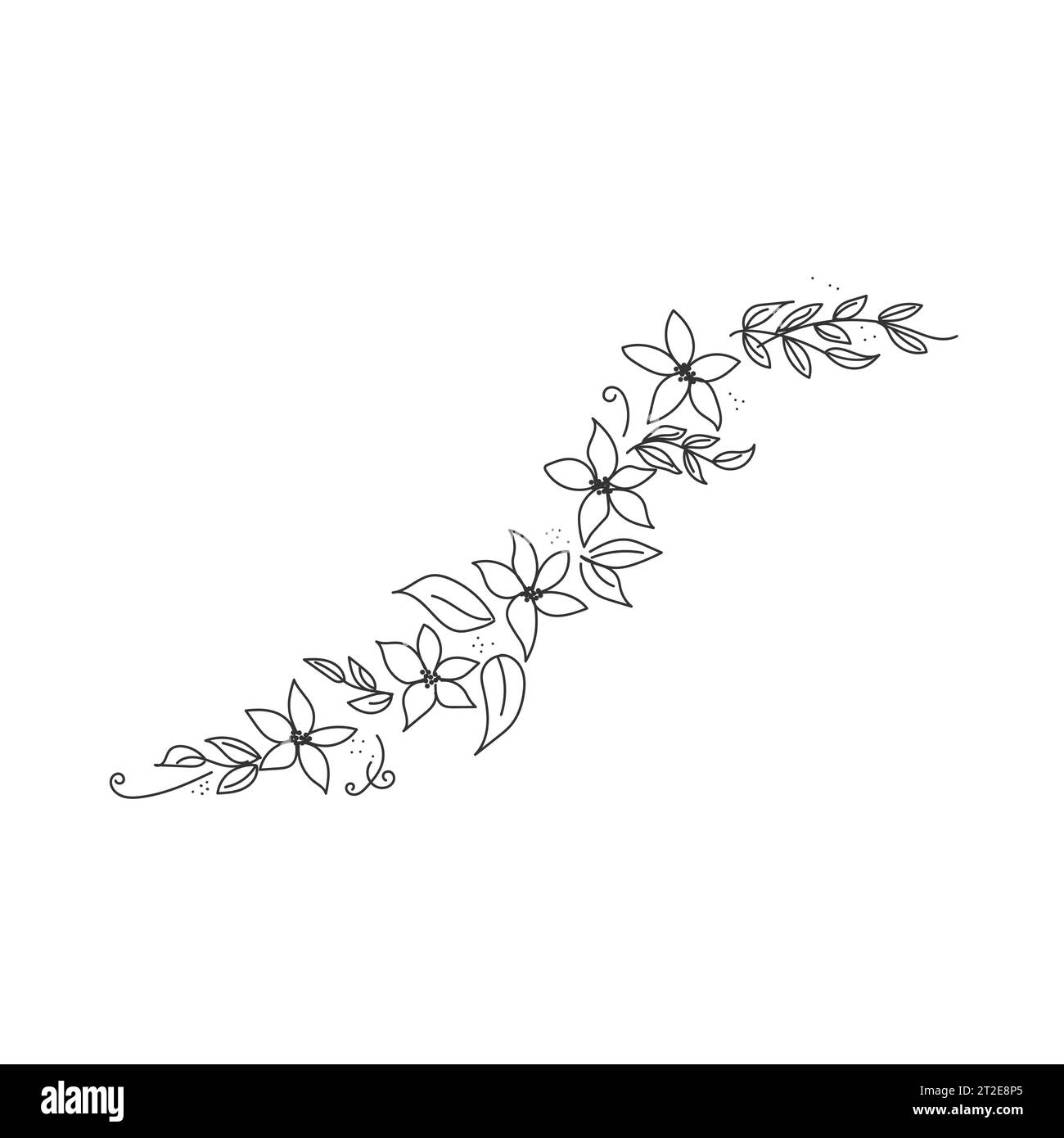 Ornament with stylized flowers and leaves in black lines. Isolated on white background. Graphic decor. Vector illustration Stock Vector