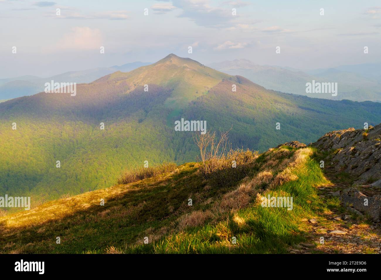 Peaceful moment in nature hi-res stock photography and images - Alamy