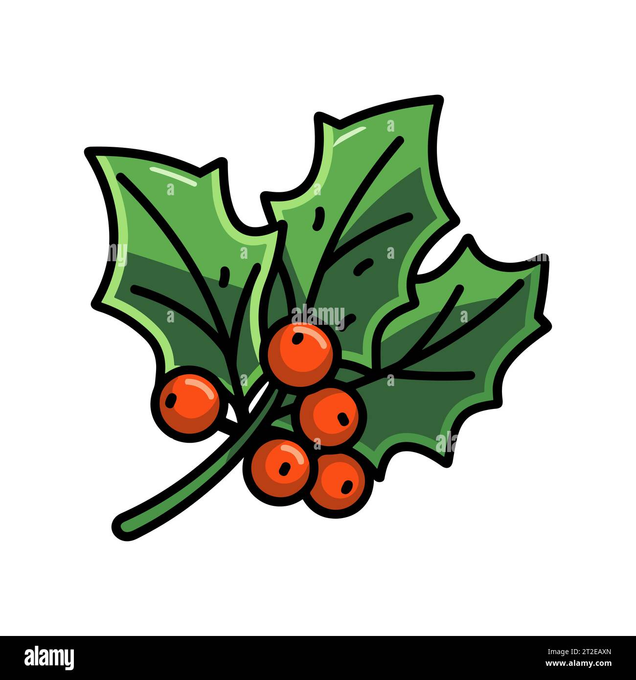 Christmas Holly Berry Leaves Vector Illustration Stock Vector