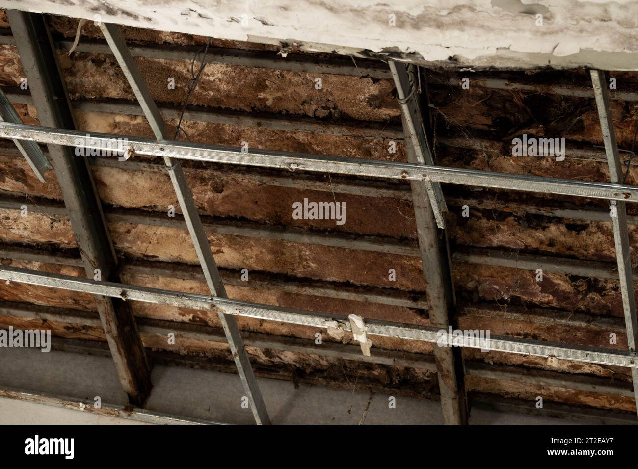 Ceiling panels had damaged a large hole in the roof from a rainwater leak. Ceiling damaged by water. The ceiling broke down Stock Photo