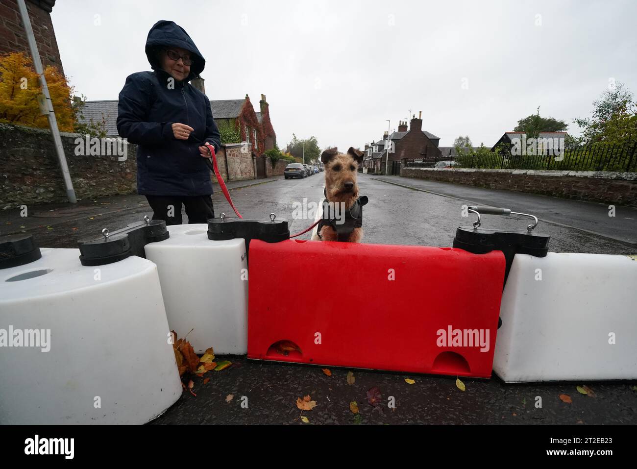 A dog walker and her dog at a flood defence barrier erected on Church street in the village of Edzell, Scotland. The UK is bracing for heavy wind and rain from Storm Babet, the second named storm of the season. A rare red weather warning stating there is a 'risk to life' has been issued for parts of Scotland as the storm is expected to batter the UK on Thursday. Picture date: Thursday October 19, 2023. Stock Photo