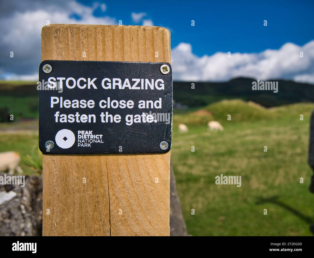 A black and white sign fixed to a wooden post advises that farm stock are grazing in the field ahead and asks walkers to close and fasten the gate. Stock Photo
