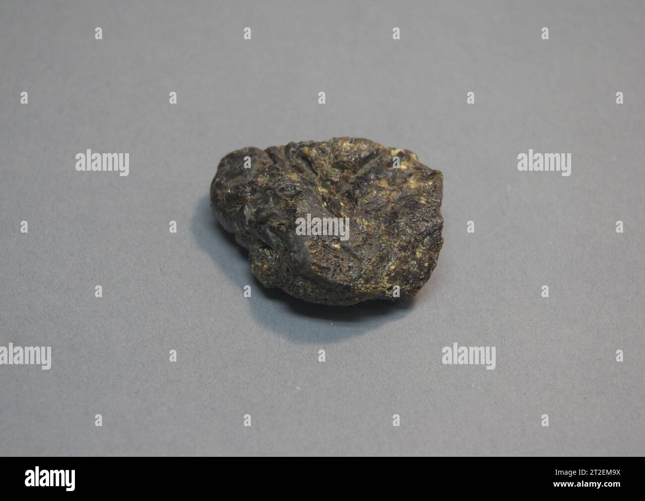 Shellac specimen hi-res stock photography and images - Alamy