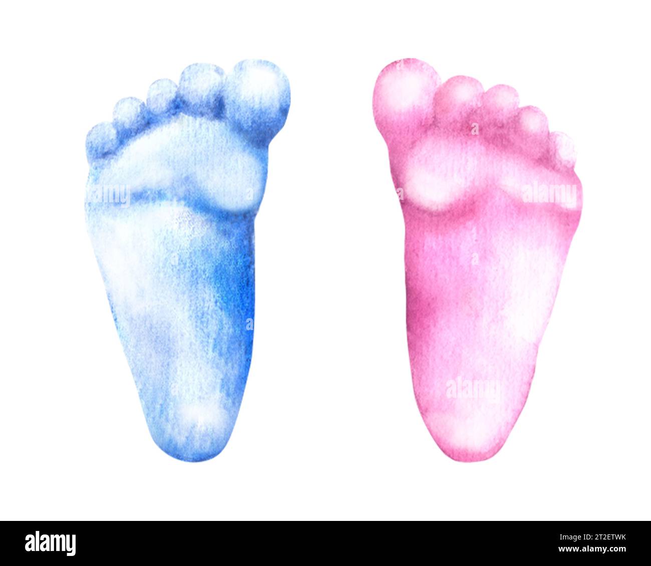 Baby footprints blue and pink feet. Watercolor illustration hand draw isolated on white background. Gender party boy or girl, newborn celebration Stock Photo