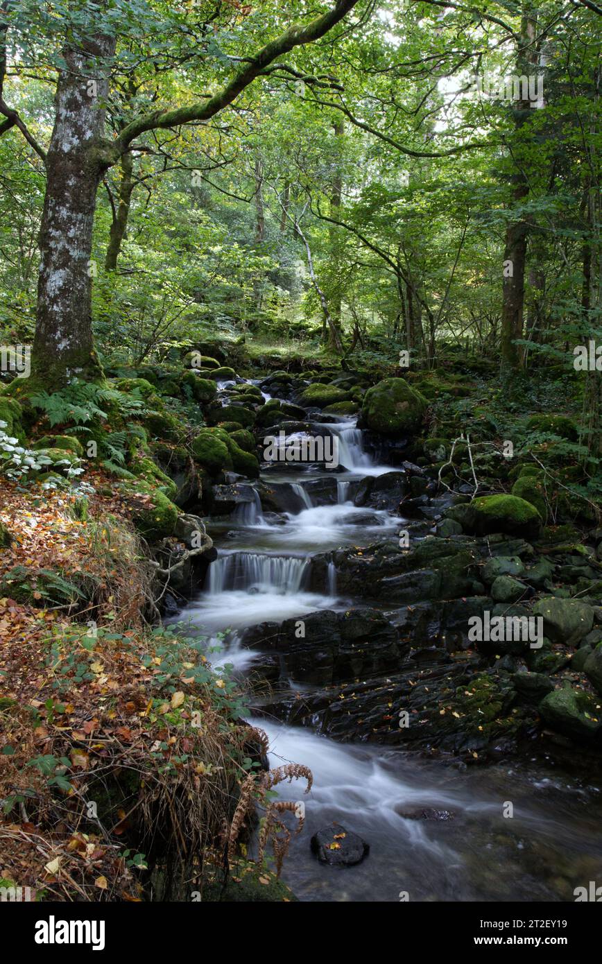 Natures filter hi-res stock photography and images - Alamy