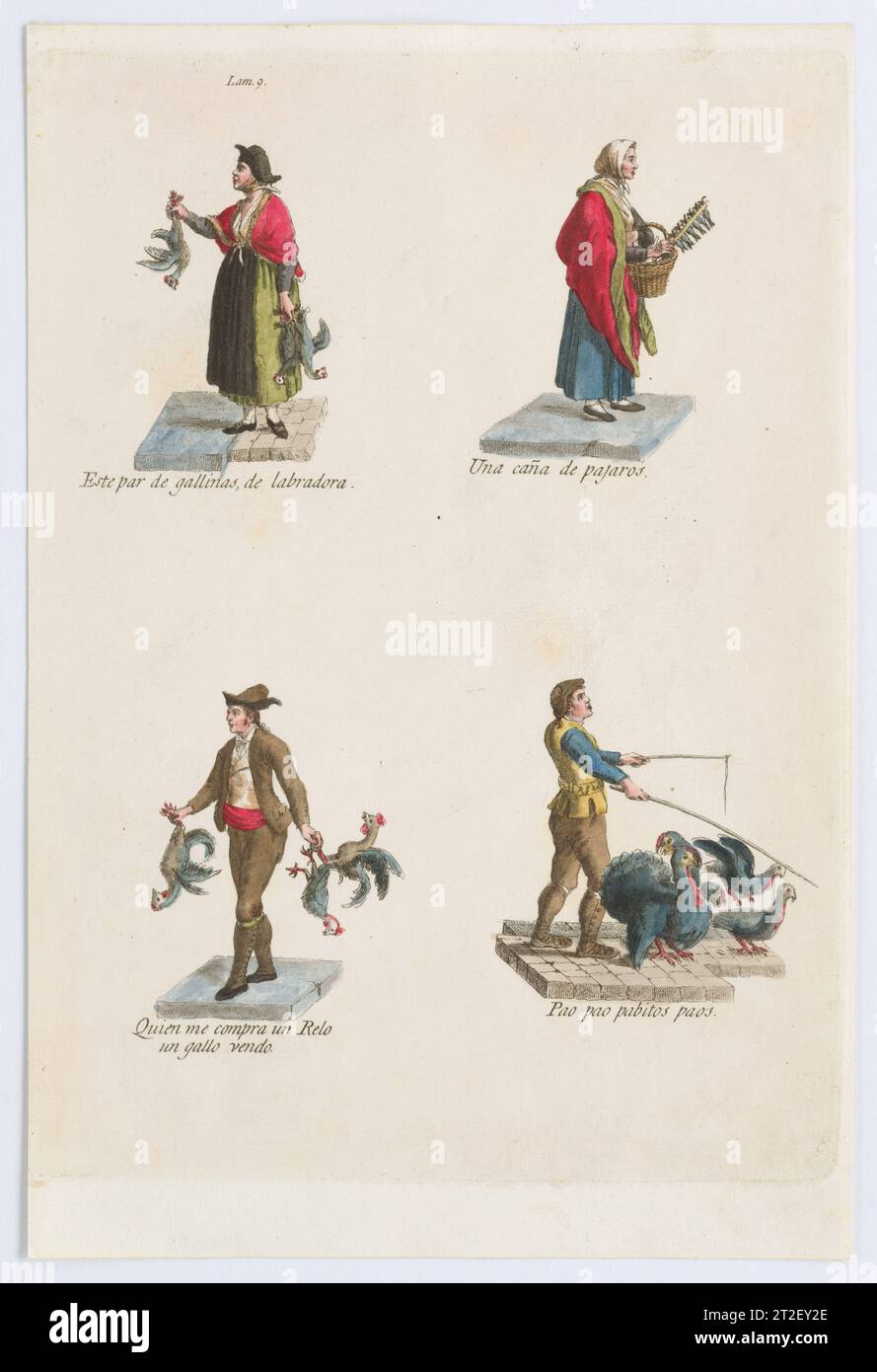 Plate 9: four street vendors from Madrid selling different kinds of birds (chicken, turkey, etc), from 'Los Gritos de Madrid' (The Cries of Madrid) Miguel Gamborino Spanish Publisher Imprenta Real, Madrid Spanish 1809–17 See comment for 2022.53. View more. Plate 9: four street vendors from Madrid selling different kinds of birds (chicken, turkey, etc), from 'Los Gritos de Madrid' (The Cries of Madrid). Miguel Gamborino (Spanish, Valencia 1760–1828 Madrid). 1809–17. Engraving with hand coloring. Imprenta Real, Madrid. Prints Stock Photo