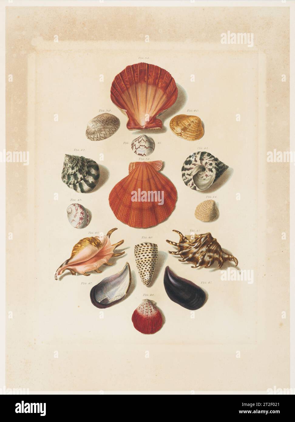 Franz michael regenfuss hires stock photography and images Alamy