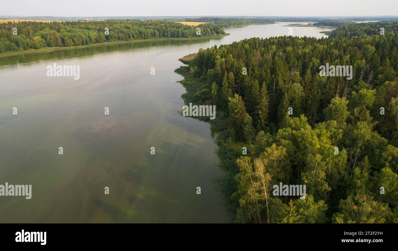 Aerial view through trees pine hi-res stock photography and images - Alamy