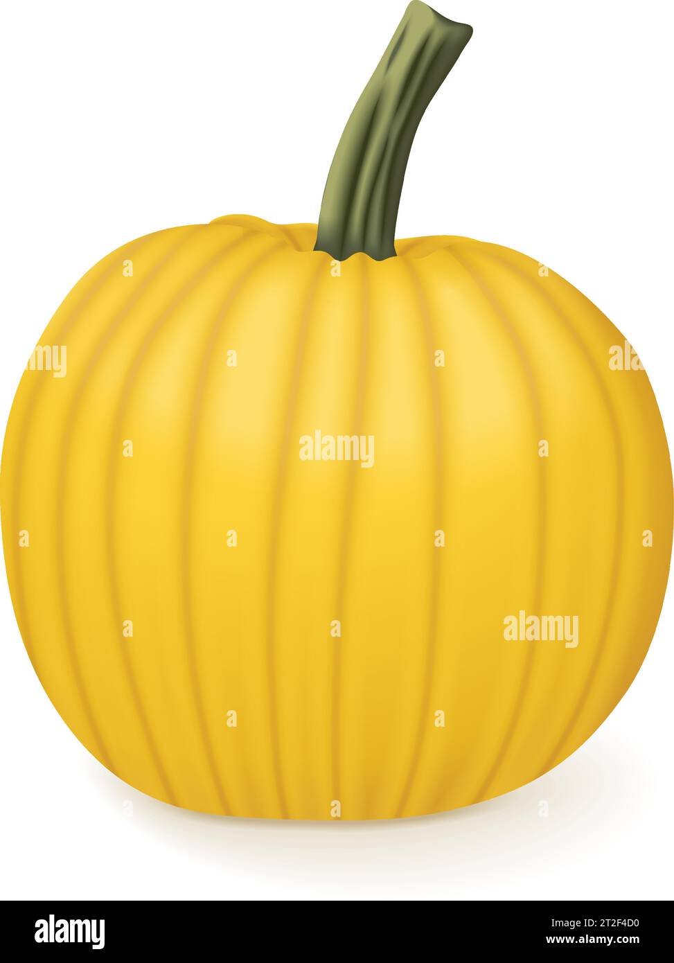Mellow Yellow Pumpkin. Winter squash. Cucurbita pepo. Fruits and vegetables. Isolated vector illustration. Stock Vector