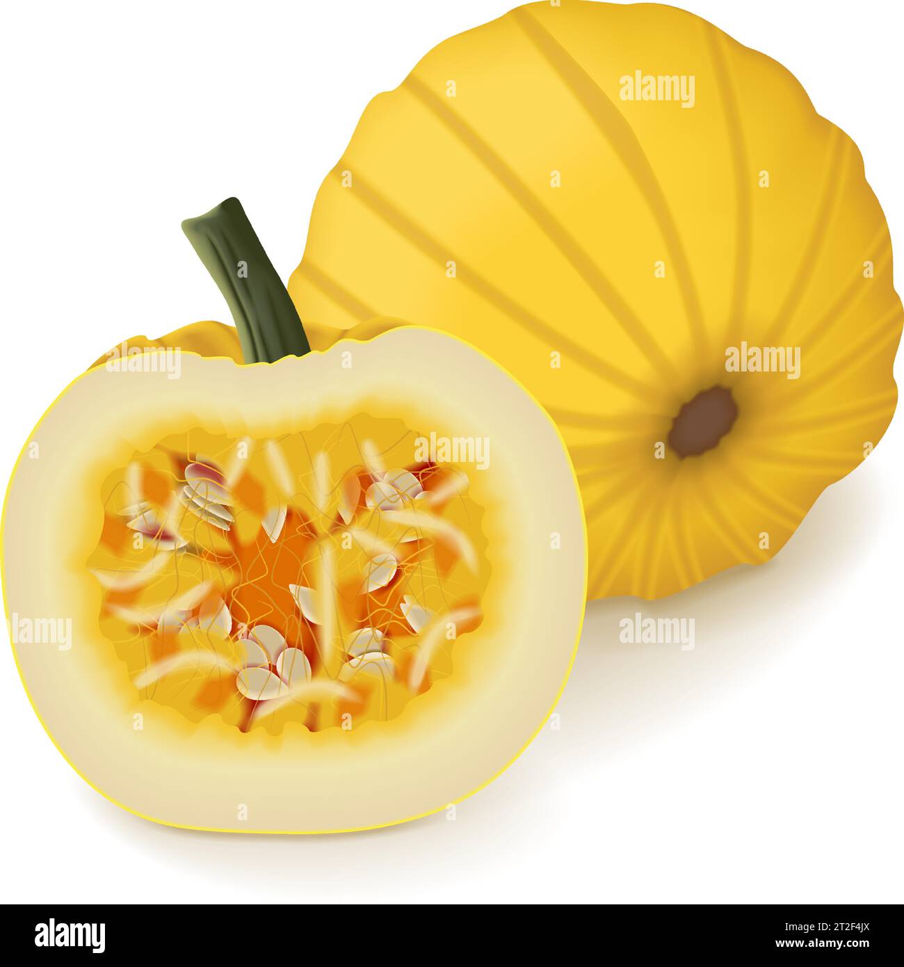 Whole and half of Mellow Yellow Pumpkin. Winter squash. Cucurbita pepo. Fruits and vegetables. Isolated vector illustration. Stock Vector
