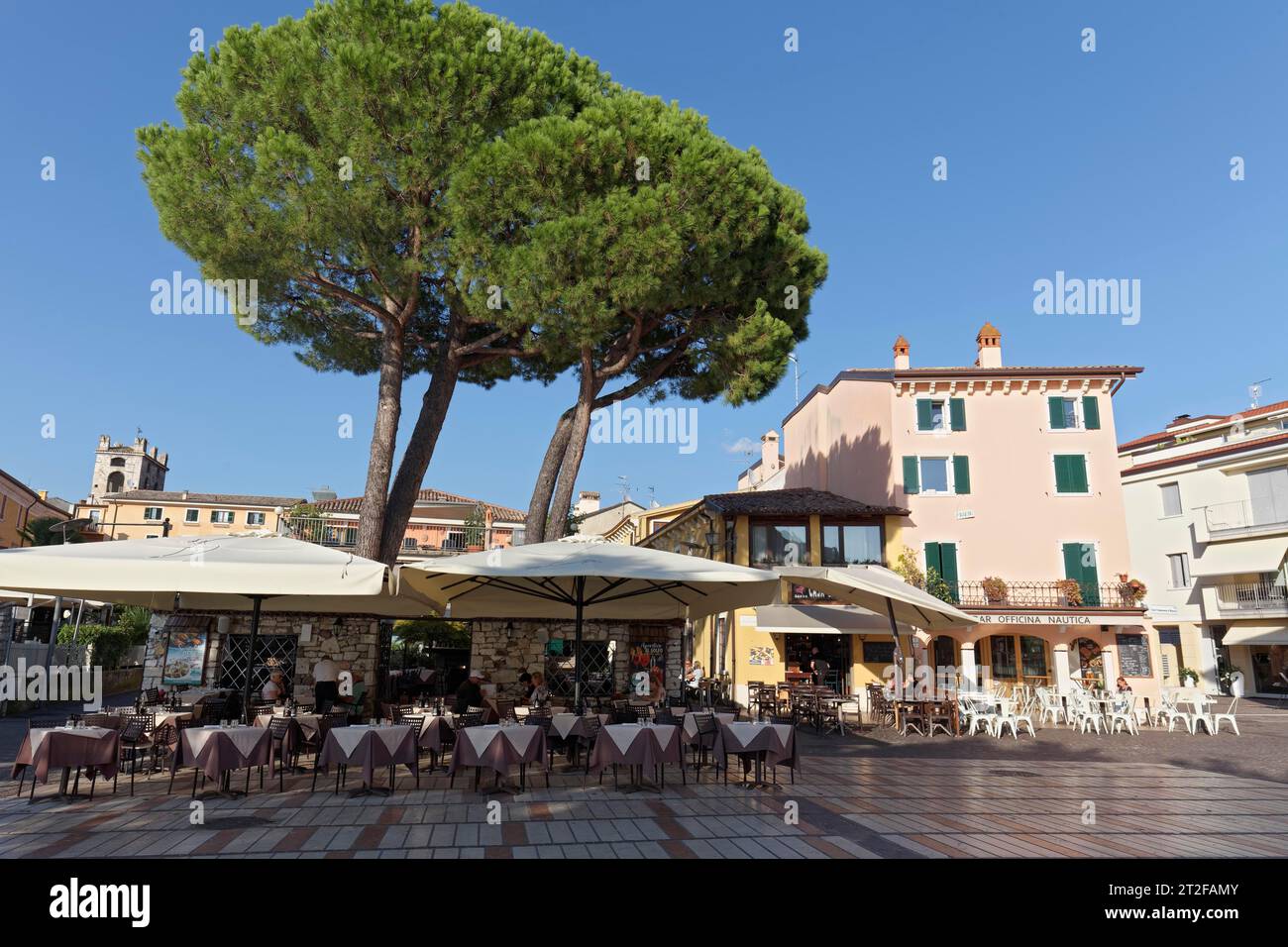 Terrace restaurant under umbrella pine on the lakeside promenade, Garda, Lake Garda, Veneto, province of Verona, Italy Stock Photo