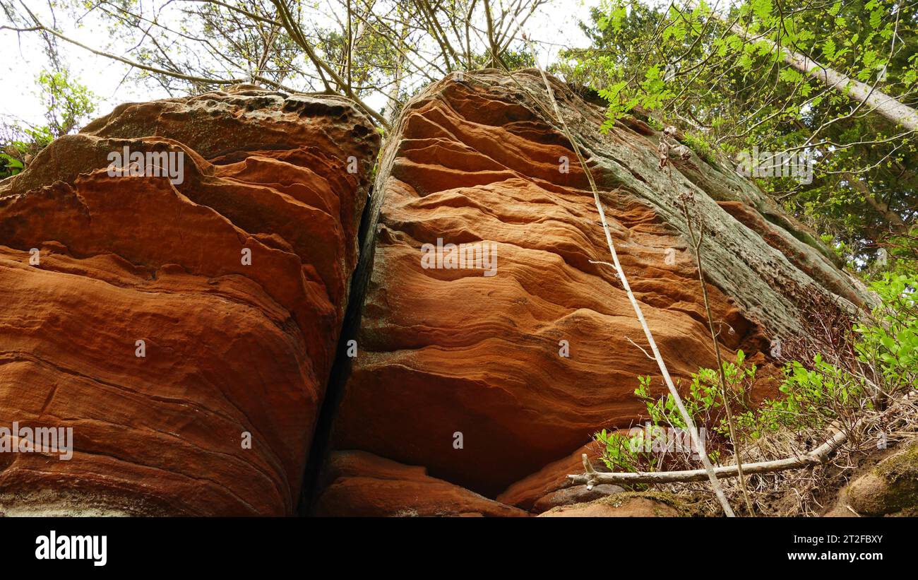 Red sandstone rocks in the Volcanic Eifel Stock Photo - Alamy