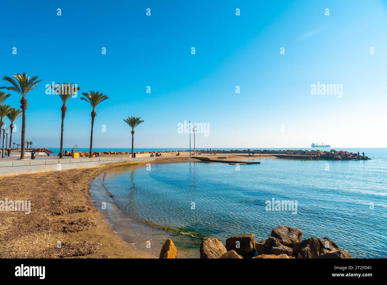 Beach with palm trees in the coastal town of Torrevieja next to the Playa del Cura, Alicante, Valencian Community. Spain, Mediterranean Sea on the Stock Photo