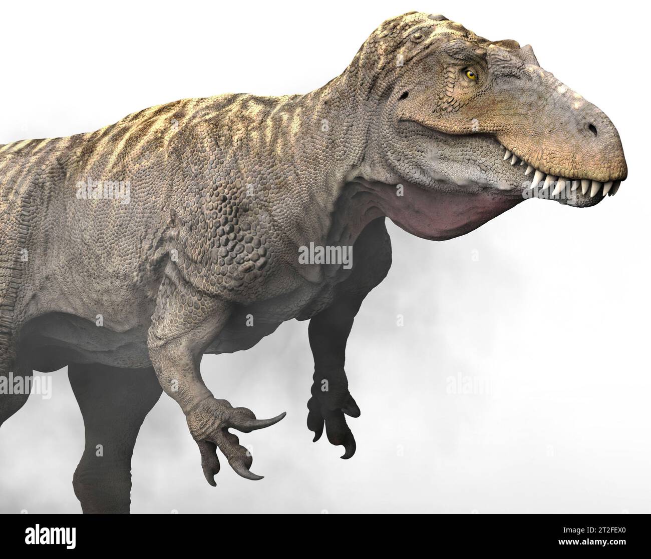 Menacing Tyrannosaurus Rex dinosaur Stock Photo - Alamy