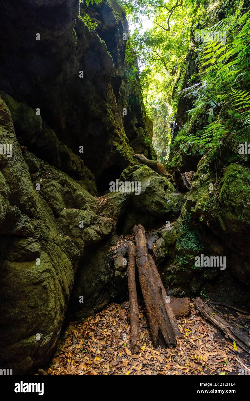 Strange access to enter the canyon of the natural park of Los Tinos on the northeast coast on the island of La Palma, Canary Islands. Spain Stock Photo
