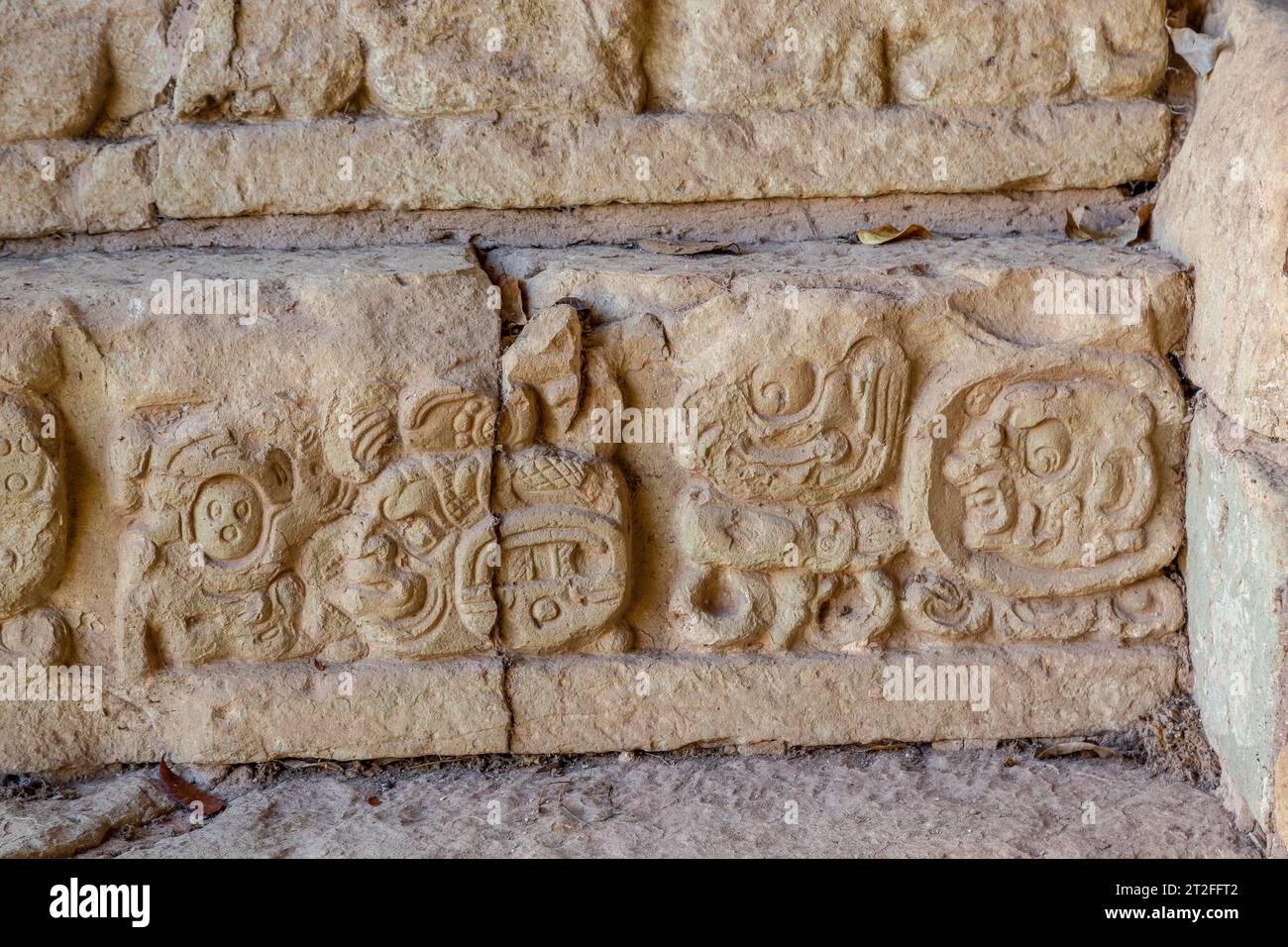 Mayan drawings in the temples of Copan Ruinas. Honduras Stock Photo Alamy