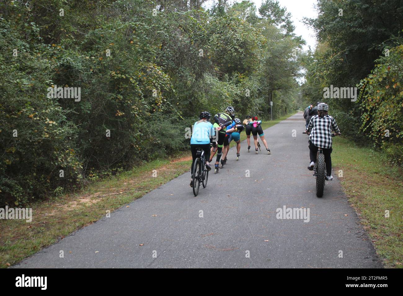 Inline Skaters passing a Family of Cyclers (Group activities on a path) Stock Photo