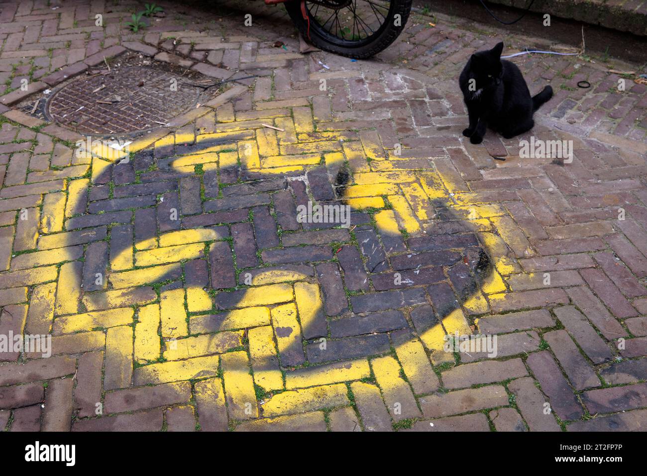 Zierikzee on the peninsula Schouwen-Duiveland, cat sitting in front of a Batman logo on Krepelstraat, Zeeland, Netherlands. Zierikzee auf der Insel Sc Stock Photo