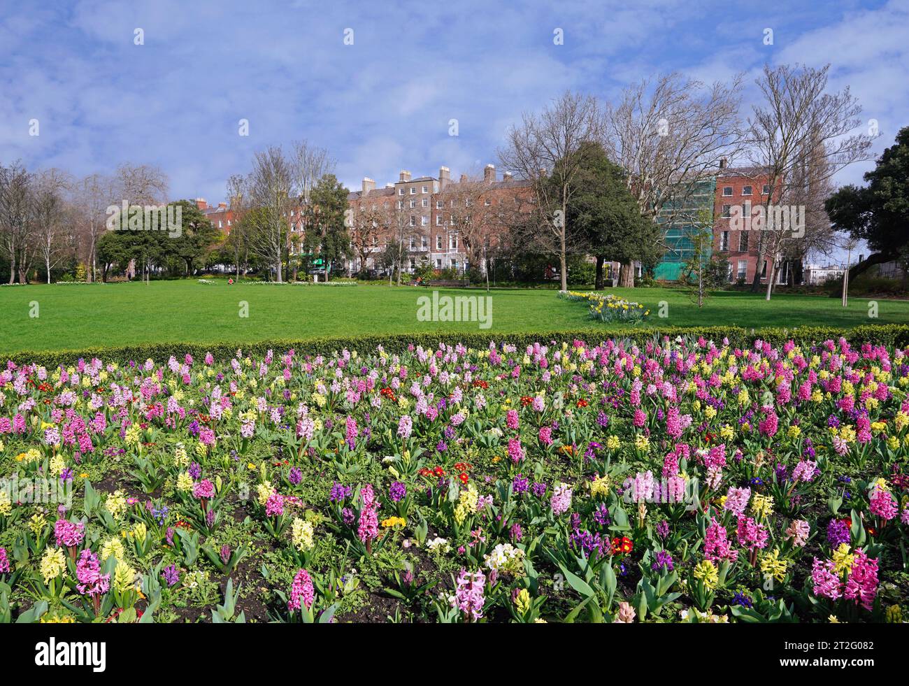 Dublin with spring flowers, Merrion Square Park Stock Photo