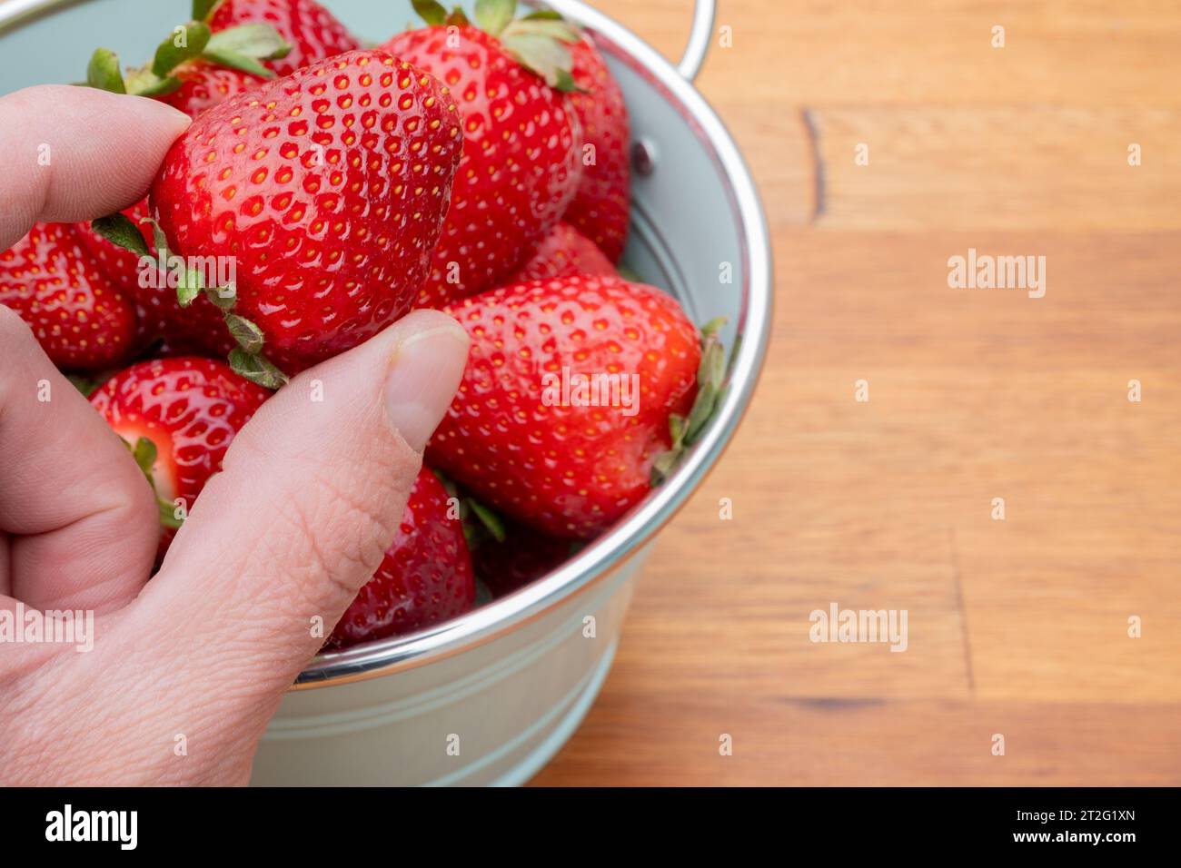 Fresh organic strawberries just picked from the garden in within a ...