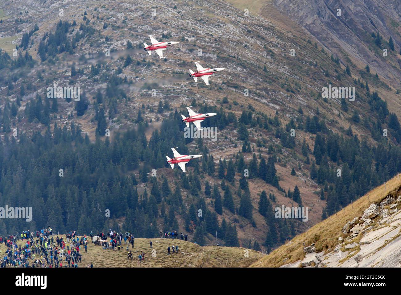 Die Kunstflugstaffel der Schweizer Luftwaffe Patrouille Suisse bei ihrer Vorführung auf der