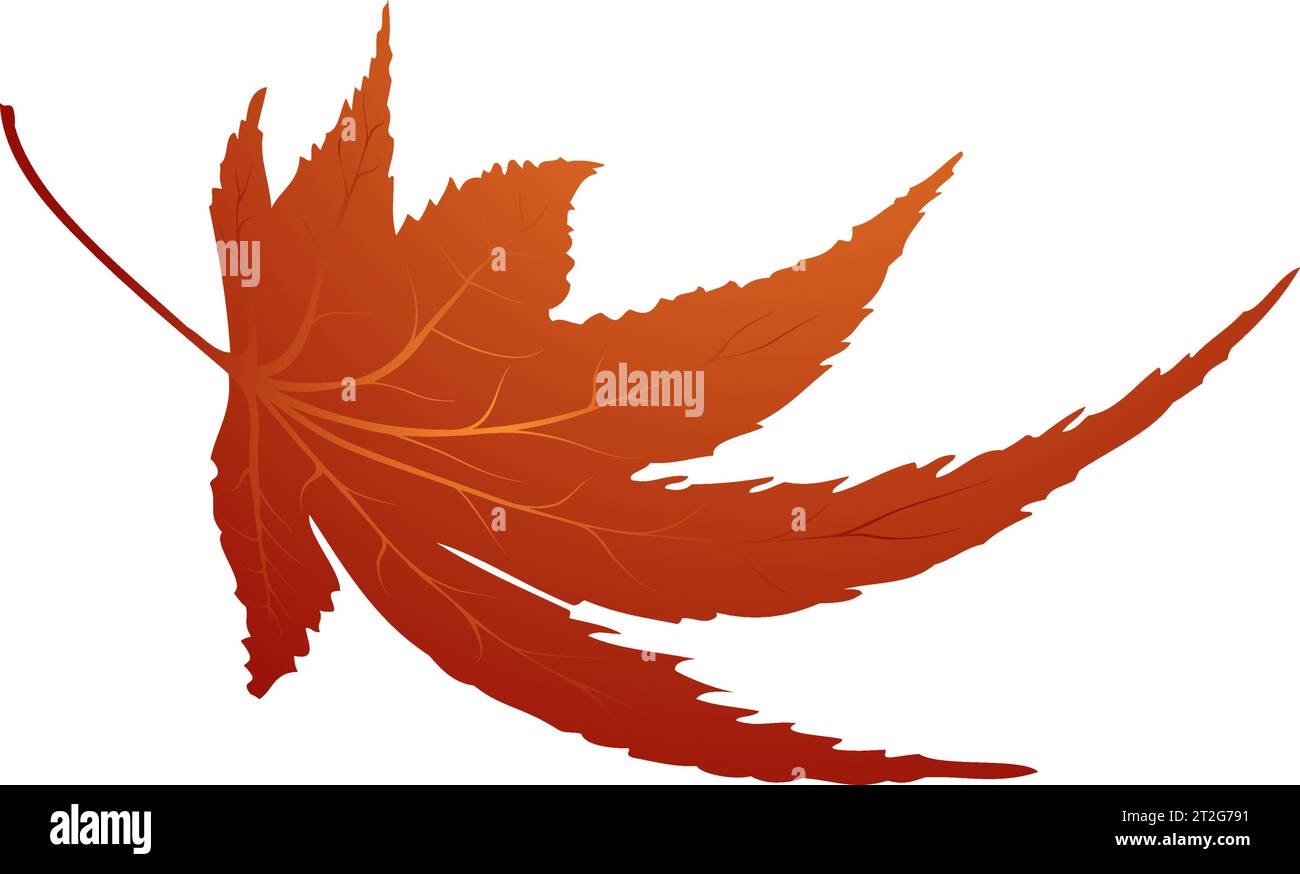 Maple autumn leaf. Element for making fall season designs. Vector illustration. Stock Vector